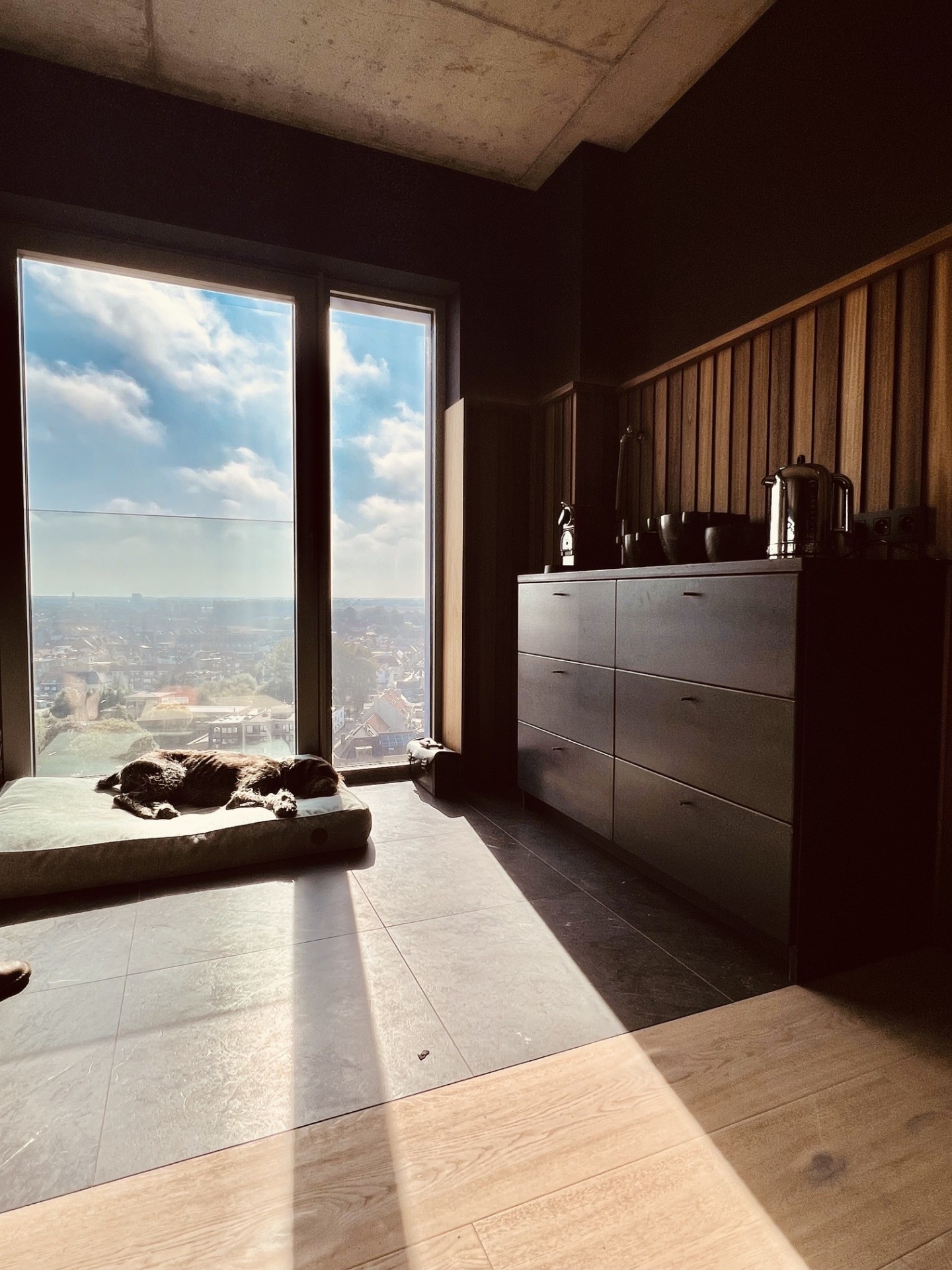Blackened steel drawer unit in a dark apartment with oak slat wall and city view
